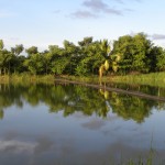  - De Vietnam a Lorica