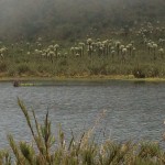  - Mi personaje del año