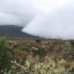  - Mi personaje del año