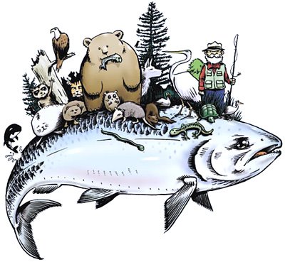 Águilas Negras declaran objetivo militar a los integrantes de la Revista El Salmón