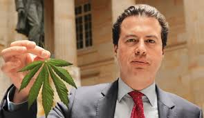 ¿Qué opinan los colombianos de la legalización de la marihuana medicinal?