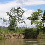  - De Vietnam a Lorica