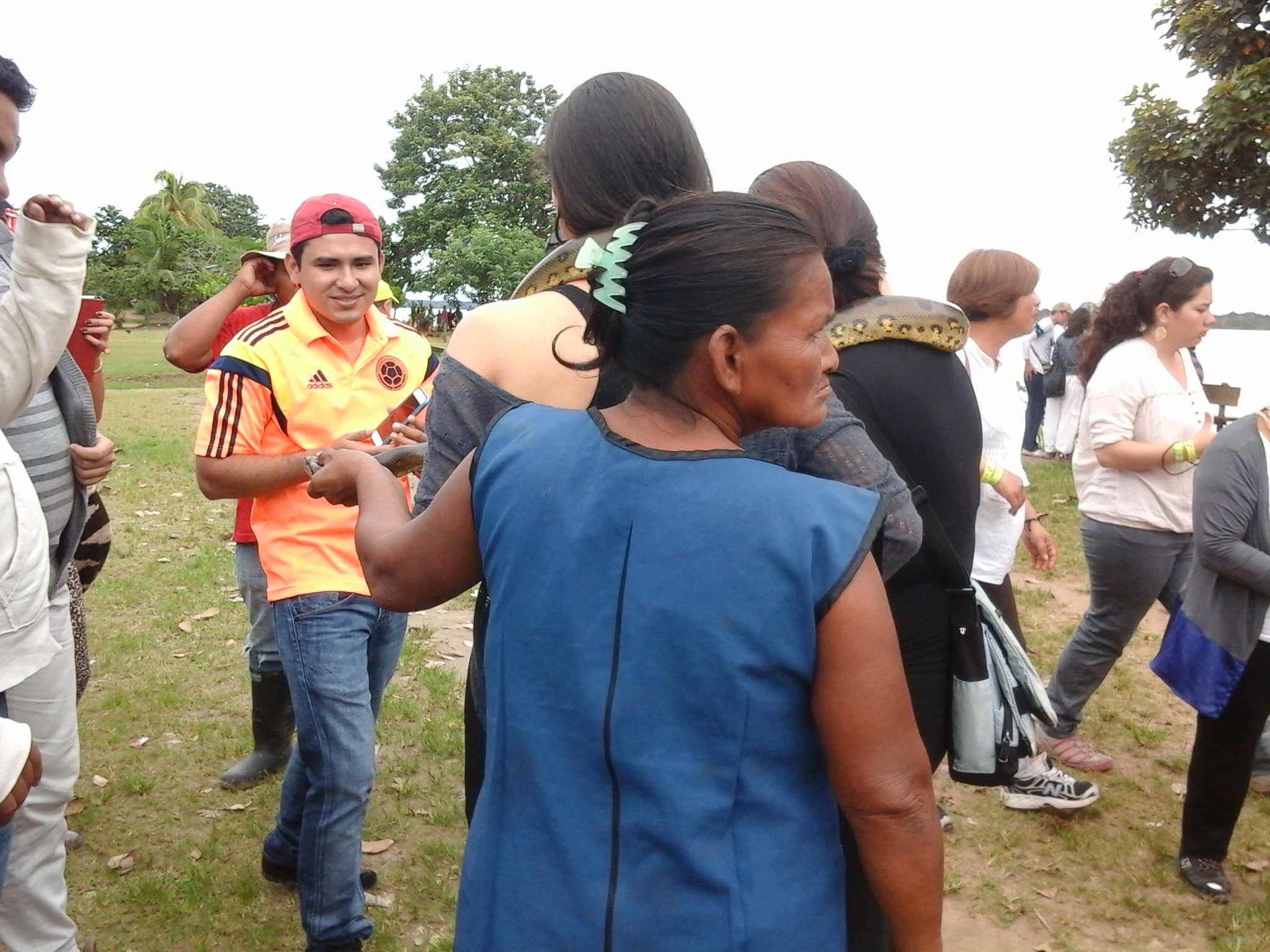 Comprender la propia participación