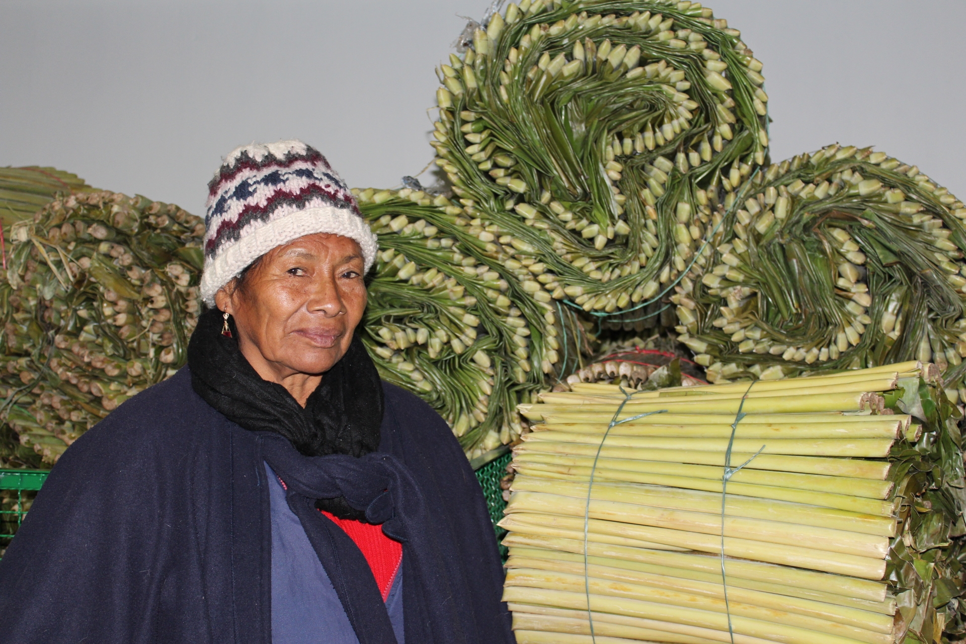 Destinan $12.000 millones a víctimas del conflicto armado