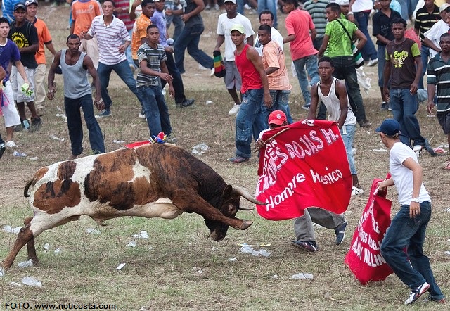 La muerte de un toro es ir en defensa de lo estúpido