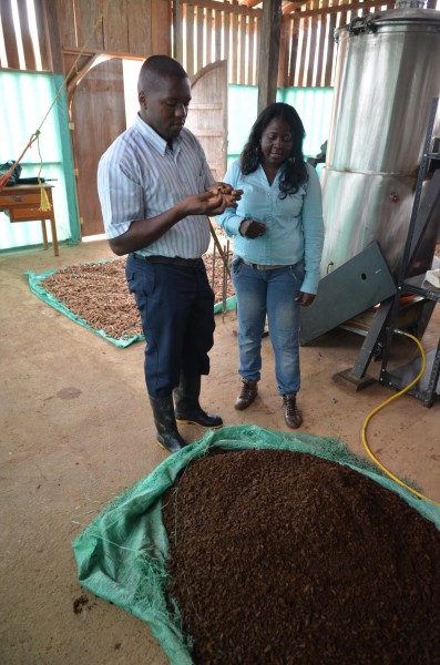  - En esta fábrica de madera en el Chocó se produce un remedio para el colon