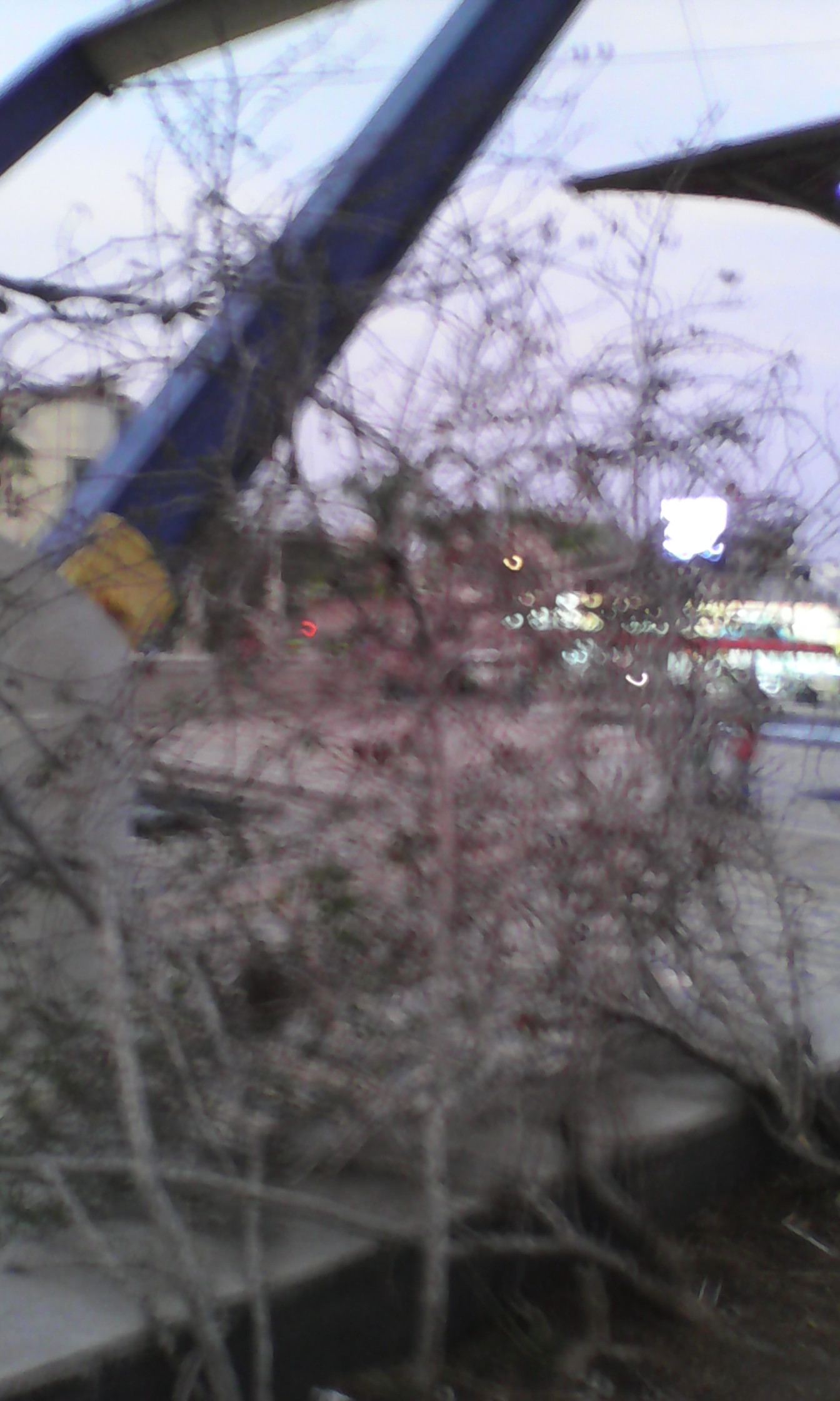 Plaza Cultural de Sincelejo podría desplomarse