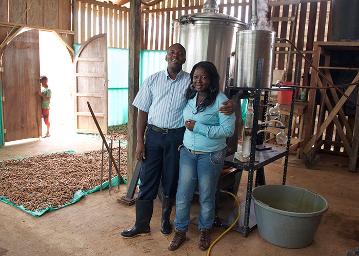 En esta fábrica de madera en el Chocó se produce un remedio para el colon