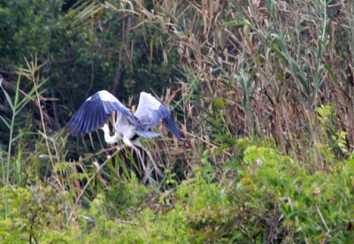  - Una imagen vale más que mil palabras