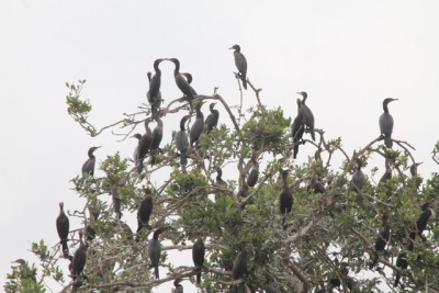  - Una imagen vale más que mil palabras