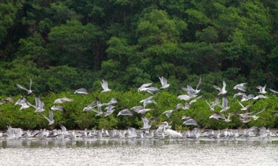  - Una imagen vale más que mil palabras