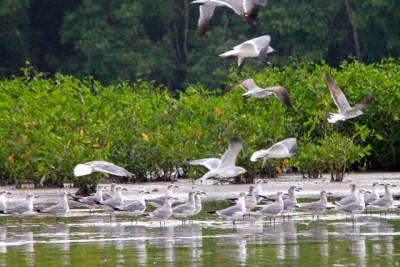  - Una imagen vale más que mil palabras