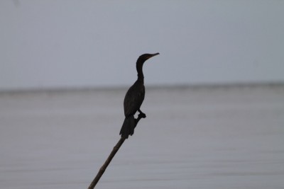  - Una imagen vale más que mil palabras