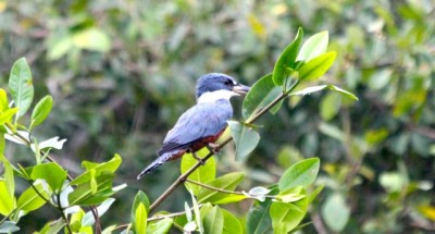  - Una imagen vale más que mil palabras
