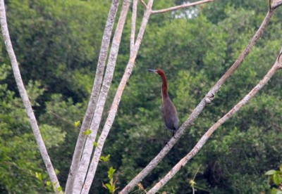  - Una imagen vale más que mil palabras