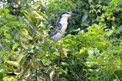  - Una imagen vale más que mil palabras