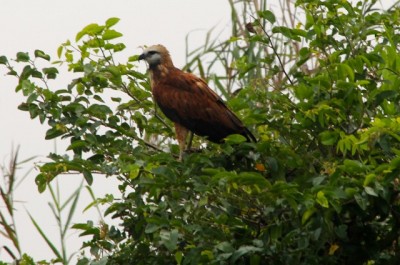  - Una imagen vale más que mil palabras