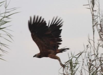  - Una imagen vale más que mil palabras