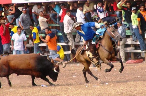 Si a la reglamentación, no a prohibición de las corralejas