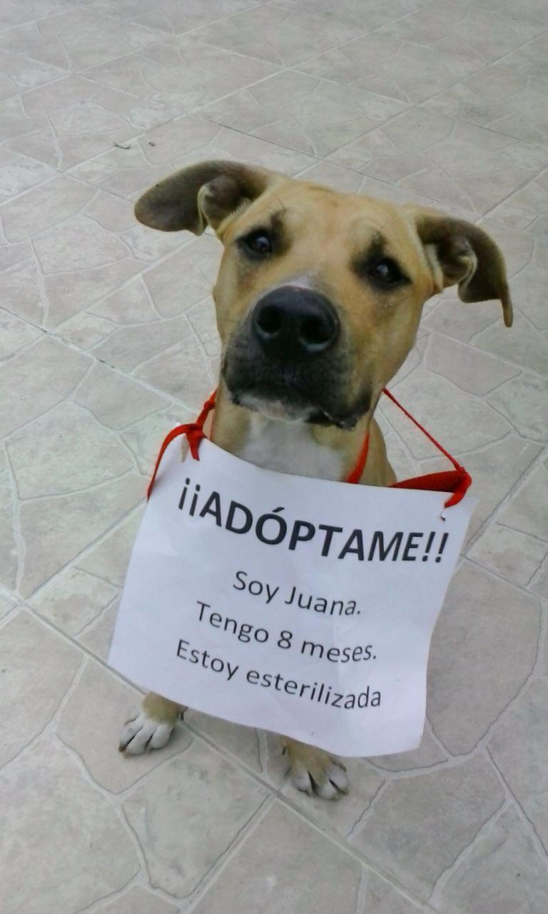 Juana merece una segunda oportunidad