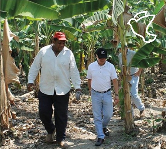 La Universidad Estatal de Michigan en Cali