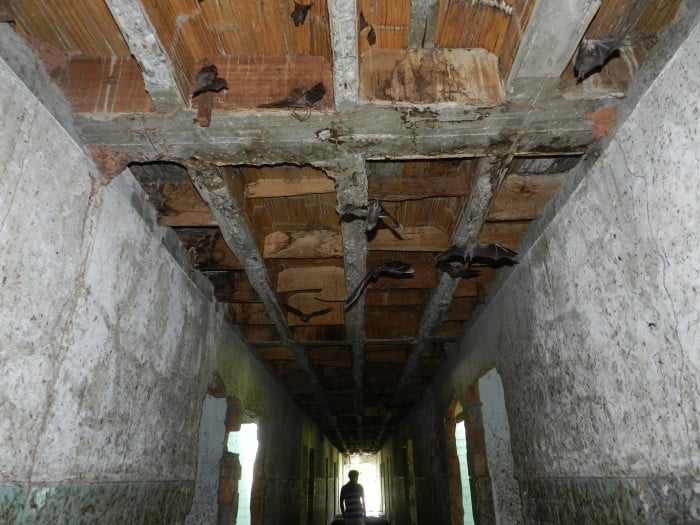  - ¿Qué fue de Armero?