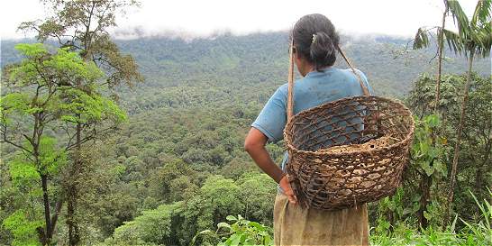 Comiendo “bala”a 16 horas de una via militarizada