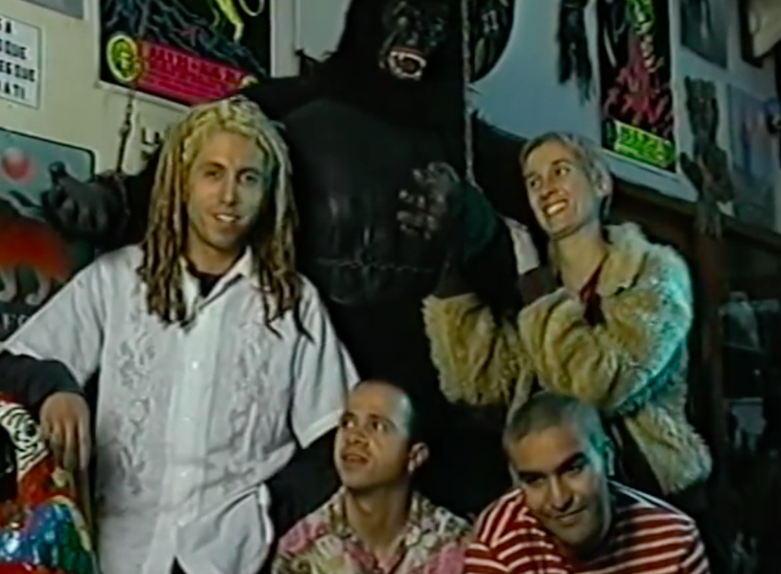 Aterciopelados: Crítica social y defensa al Medioambiente