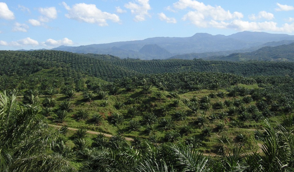 Propiedad privada en zona de reserva ambiental del INCODER