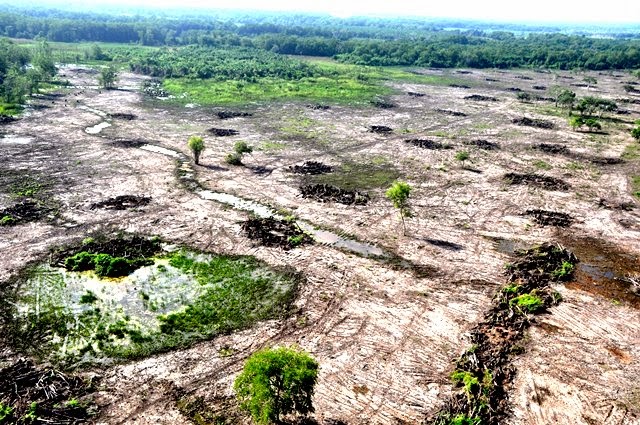 Se quieren apoderar de la Ciénaga Grande de Santa Marta