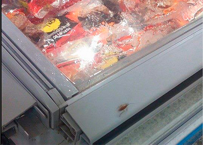 Cucarachas en almacenes Éxito