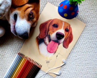  - El artista que sorprendió a Shakira en Instagram