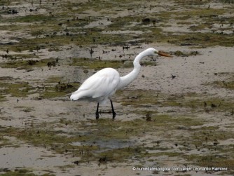  - Los jóvenes que defienden un remanso verde en pleno Bogotá
