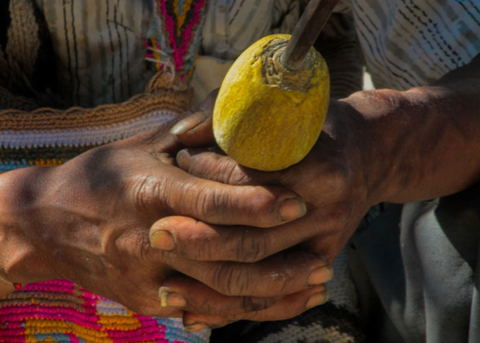 Diario de una mochila