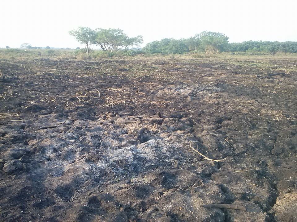 En La Mojana nos están quemando el monte