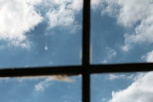 Retrato de una noche de monte‏