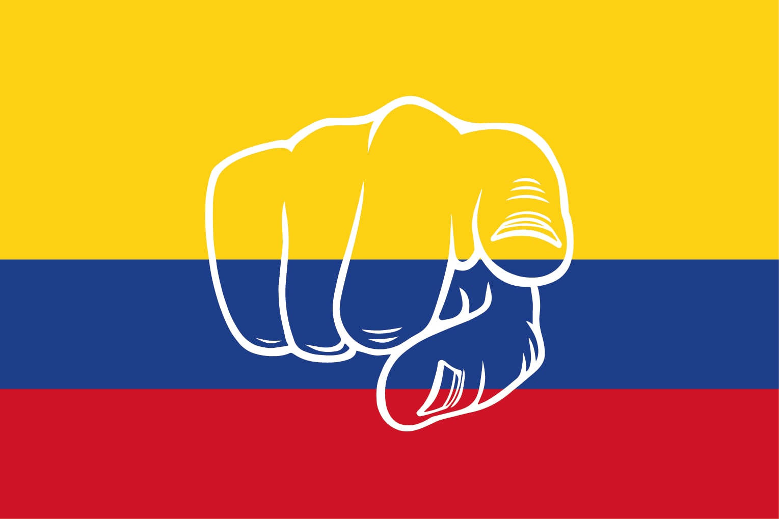 ¡Es usted quien arregla el país!