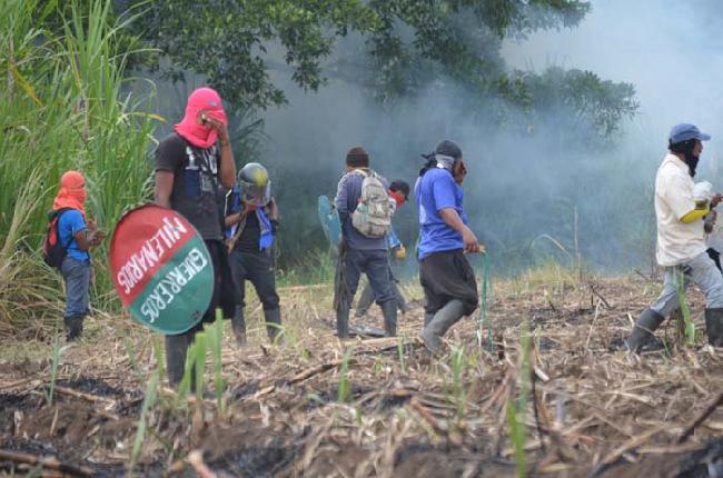 ¿Qué pasa con los indígenas en el Norte del Cauca?