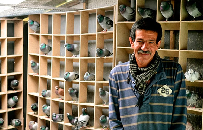 Un refugio de palomas mensajeras en Bogotá
