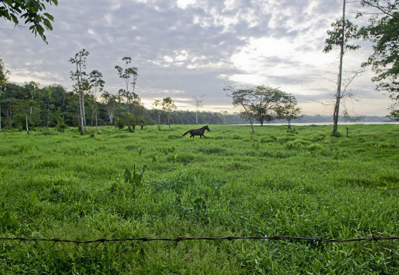 Los espíritus del Caquetá