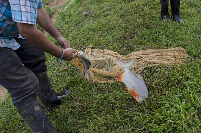  - Los espíritus del Caquetá