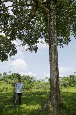  - Los espíritus del Caquetá