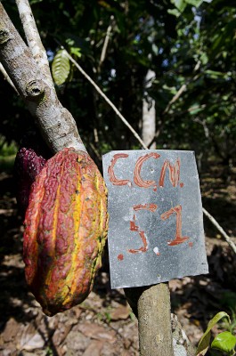  - Los espíritus del Caquetá