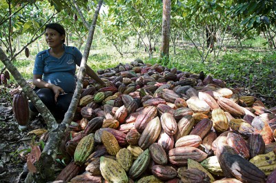  - Los espíritus del Caquetá