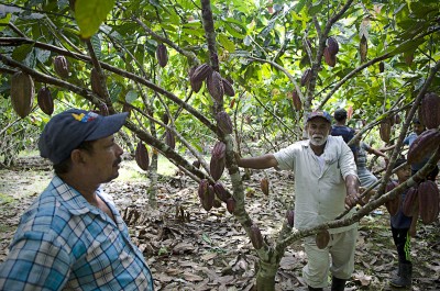  - Los espíritus del Caquetá