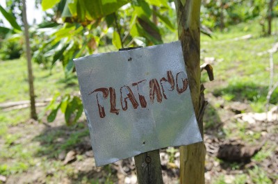  - Los espíritus del Caquetá