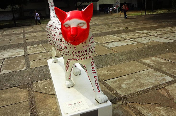 Encapucharon en la U del Valle una de las novias del gato de Tejada