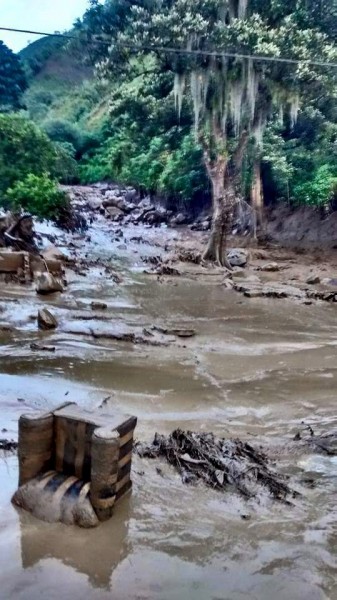  - "Las Margaritas ya no existe más"