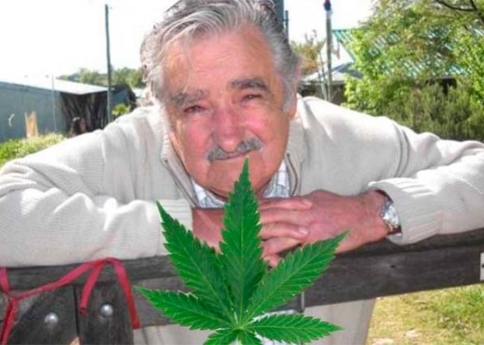 Argumentos para la regulación de la marihuana en Uruguay