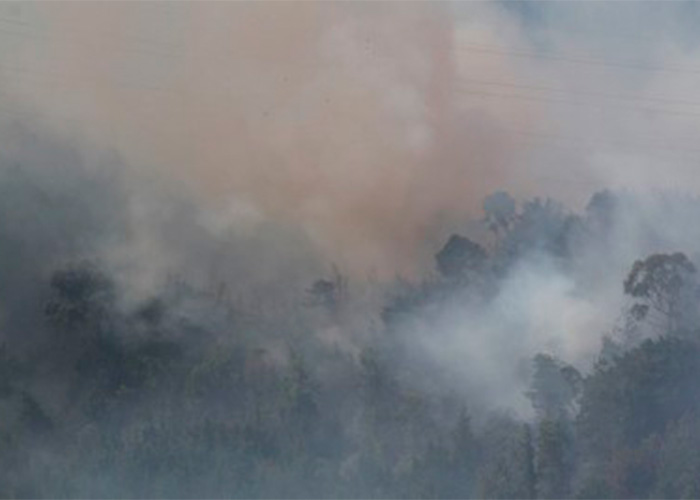 Incendio en la montaña de Santa Elena, Medellín